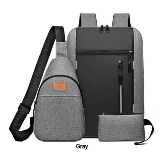 3 in 1 Laptop & School Backpack Bags